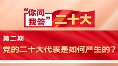 你問我答(dá)·二十大|黨的二十大代表是如何産(chǎn)生的？