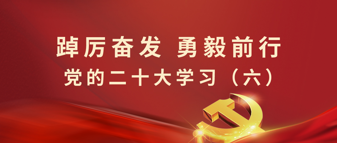 學(xué)習專欄丨二十大報告系列學(xué)習（六）